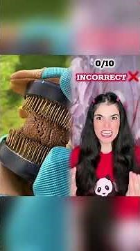 You have to answer some questions to meet your soulmate🤫 #shorts #youtubeshorts #funnyshorts