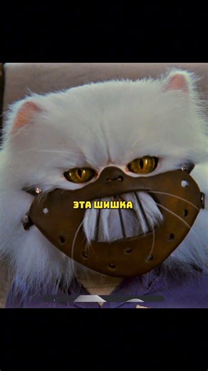 Мистер Тинклс подавился шерстью 😨