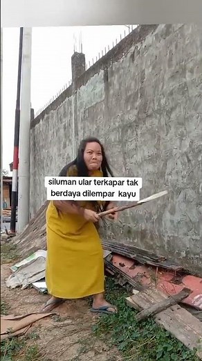 siluman ular sampai pingsan dan terkapar dilempar kayu #funny #comedy #lucu