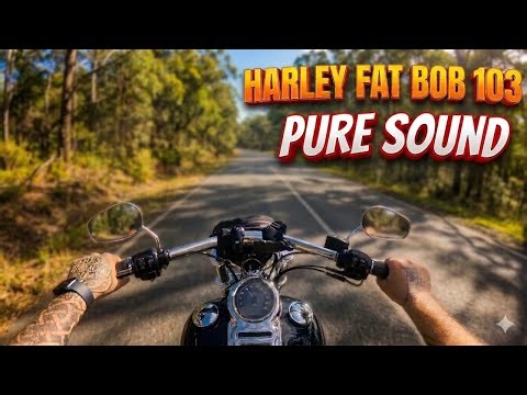 harley davidson dyna fatbob 103 pure engine sound