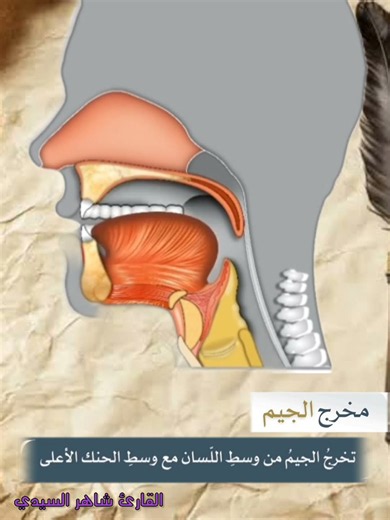 مخارج الحروف(حرف الجيم) #القارئ_شاهر_السيدي #اكسبلور #الرحمن #المصحف #تعلم_التجويد