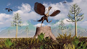 Meet Archaeopteryx, a Feathered Dino With Wings and Teeth