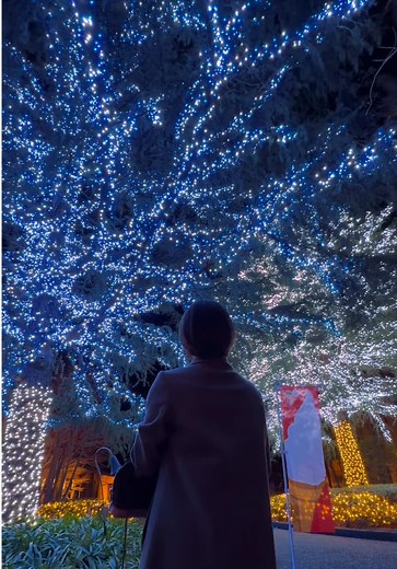 なばなの里イルミネーションが作る奇跡の絶景