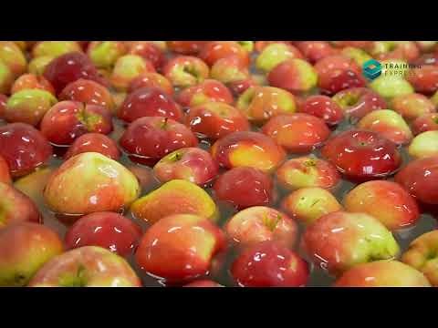 Types of food contamination you need to know