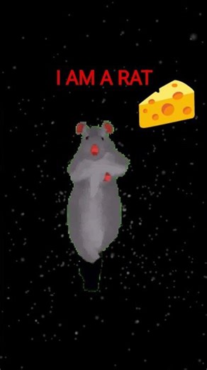 #RAT DANCE #CHEESE
