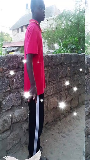 Bardman55 (@bardman55)’s videos with original sound - official real life