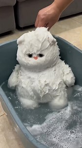 55K views · 1.3K reactions | Spa day 﫧 #plush #plushies #plushiesofinstagram #plushie #cute | Kawaiies Collection | Facebook