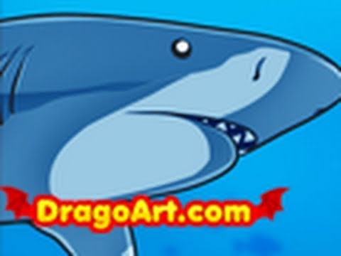 How to Draw a Shark, Draw Sharks, Shark, Step by Step