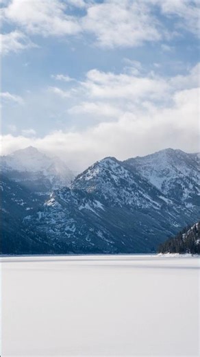 Snow is a cold minimalist.