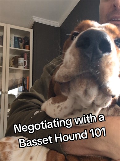 Negotiating Techniques with Basset Hounds