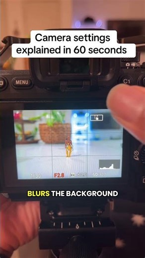 Master Camera Settings in Under 60 Seconds Tutorial for Beginners #PhotographyTips #QuickGuide