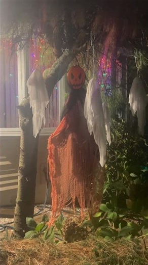 Tricko’s Halloween Decorations! ☠️🎃👻