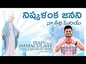 What Is the Immaculate Conception? | Catholic Teaching + Bible | Srujan Segev
