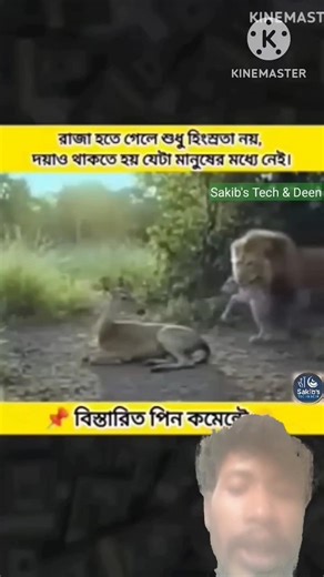 # lion#youtubeshorts #lionking #vairal #tending❤️‍🔥❤️‍🔥