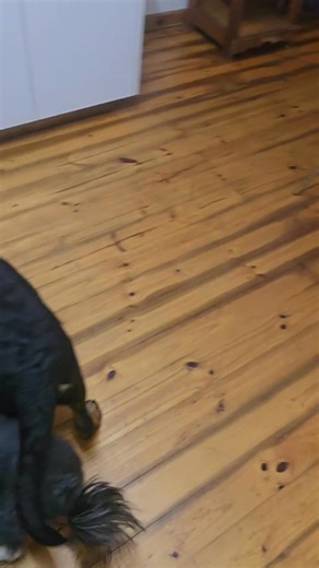 8.4K views · 272 reactions | When everyone yells help him/her, remove...