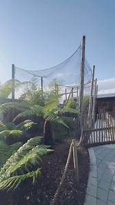 1.5K views · 18 reactions | Planning your weekend visit to Clonfert? Follow the link in our bio to book now  . . . . . #clonfertfarm #wildlifepark #zoo #wildlife #ireland #ireland #irelandtravel #ireland_gram #thingstodoireland #animals #farm | Clonfert Pet Farm | Facebook