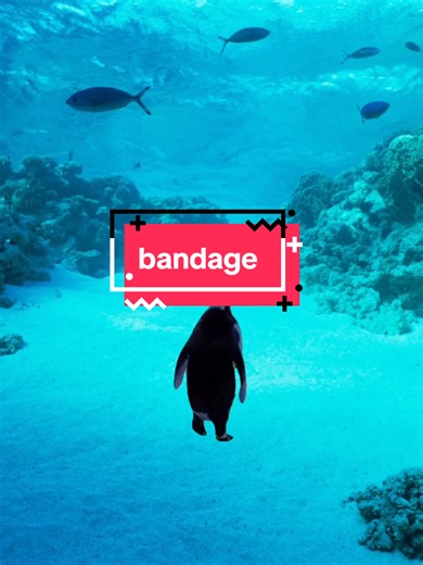 He doesn't know what's wrong with them, he just knows a bandage will fix it. #tv #kidstv #octonauts #peso #childhood