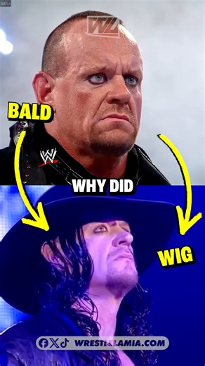 Wrestlelamia.com on Reels