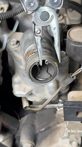 1.8M views · 10K reactions | Vu Play on Reels | Facebook