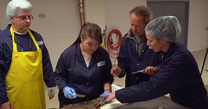 CSI: Cod stock investigation | Ocean School