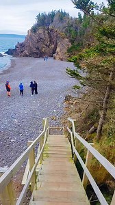 52K views · 743 reactions | This was our first time discovering Chance Cove. Check out some of our most uplifting moments. | Visit Newfoundland and Labrador | Facebook