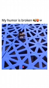 221K views · 374 reactions | A bit out of character for my page but I must admit I laughed pretty hard and hoped you would laugh too! @bad_science_jokes  | Bad Science Jokes | Facebook