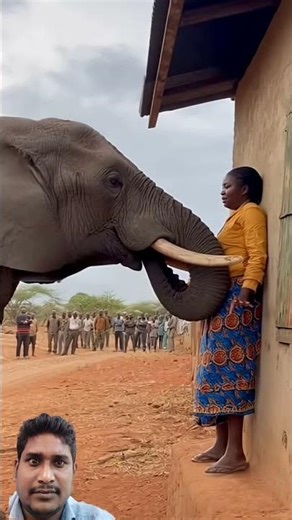 #elephant #animals #africa #wildlife #viralvideo #beautiful