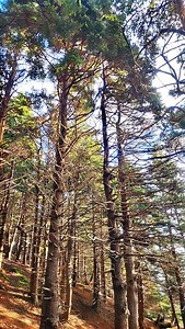 55 reactions | Finding joy in every scenery on the island.... #newfoundland #canada #explorenl | Visit Newfoundland and Labrador | Facebook