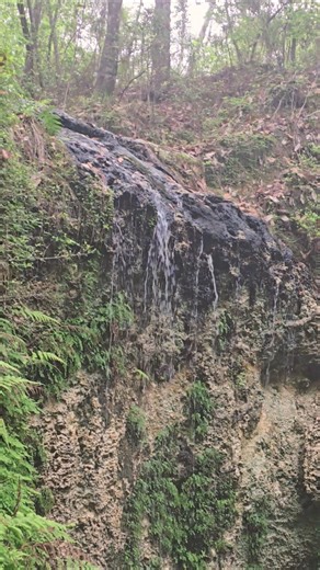Falling Water Falls at Falling Waters State Park, Chipley, Florida (April 16,2026)