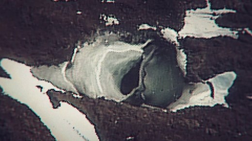 2.8M views · 11K reactions | Did the Nazis really build a base on the South Pole? ❄️ | Discovery Channel UK | Facebook