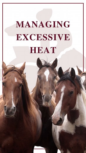 2.6K views · 20 reactions | The name of the game for the next few...