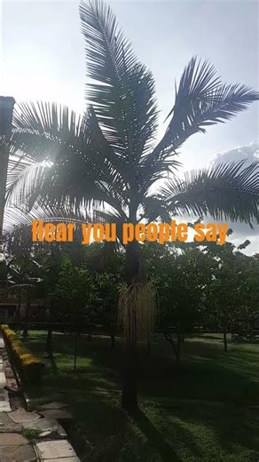 hear you people say#christianmusic#gospelmusic