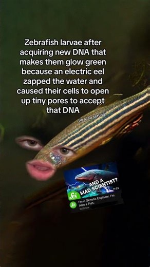 Animals make their own genetic hybrids