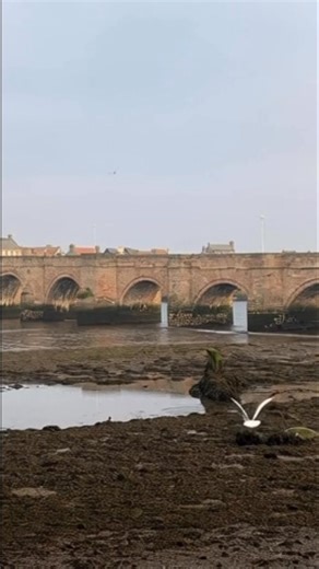 Berwick-Upon-Tweed is a historic old town with multiple bridges over the magnificent #rivertweed Take a stroll along the Elizabethan fortress walls, visit the museum in the Berwick barracks or the historic town hall and walk along the beach and pier with its distinct lighthouse, offering fantastic views towards either Scotland or Holy Island. Being just 2.5 miles from #Scotland the towns Scottish influences include Berwick Rangers the only English football team to play in the Scottish leagues as