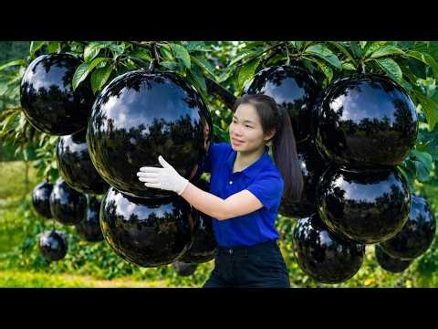 Harvesting Giant Round Black Fruits And Selling At The Rural Market | Brave Country Girl