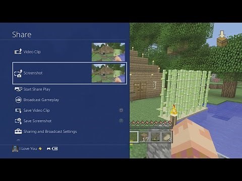 How to Take a Screenshot on PS4