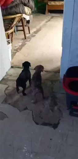 BLANCO (@blanconm)’s videos with original sound - BLANCO