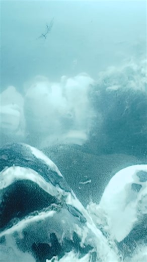 13K views · 521 reactions | We all have a role in ending the...