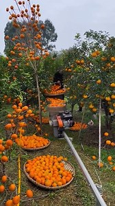 Good job 21. | Fresh Air Online TV