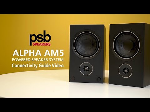 PSB Alpha AM5 Powered Speaker System: Connectivity Guide
