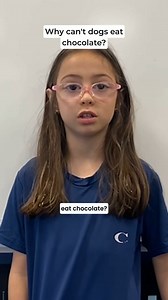 🍫 Why can't dogs eat chocolate? This week's question comes from Valentina. Watch this week's video to find out the answer! https://mysteryscience.com/mini-lessons #StayCurious #Science #TeachScience #ElementaryScience #KidQuestions | Mystery Science