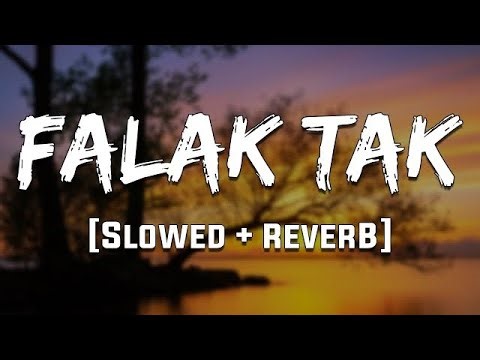 Falak Tak Chal Sath Mere || ( Slowed + Reverb ) | Lofi | Lofi Song | Call of Duty Version