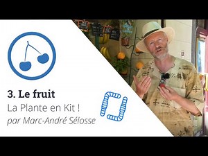 The Plant Kit! Ep3 - The Fruit, with Marc-André Sélosse