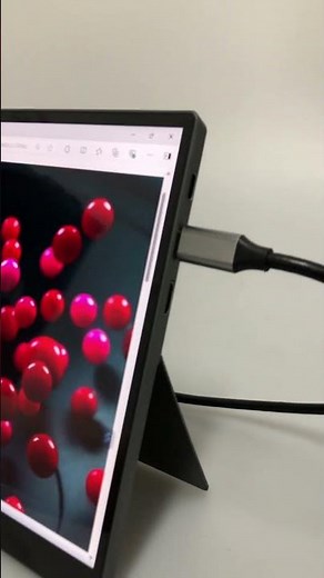 10.5" Portable Monitor, 1080p, 100% sRGB, Mini HDMI & Type-C #monitor#diaplay#touch monitor#tablet