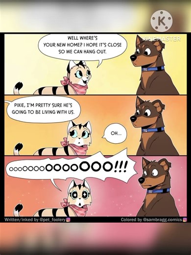 Pixie and Brutus got Christmas gift before Christmas 😍 #comics #pixie #bruty #brutus