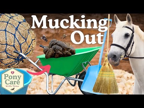 How to Muck out a Stable / Stall! *Satisfying Cleaning*