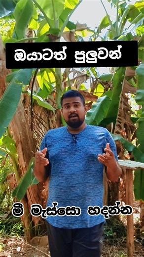 තාම ඇයි පරක්කු