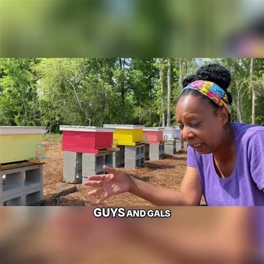 #4 Beekeeper's Journey Enjoying the Buzz and Learning Every Step!