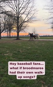 5.2K views · 212 reactions | Hey baseball fans...⚾️ Sound up  to...