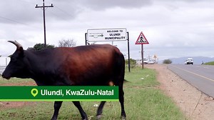 AVBOB Entrepreneur Profile: Thembisile Mpanza At AVBOB, we live our brand promise of 'We're here for you'. We strive to always be there for our policyholders and clients in their times of need, as well as empower black entrepreneurs to uplift their local communities. Here is Thembisile Mpanza's inspirational story, from her AVBOB branch in Ulundi (KZN). | AVBOB South Africa